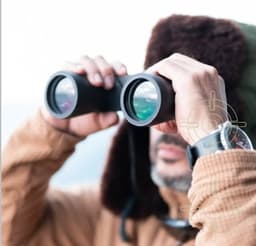 Binocular campo visual